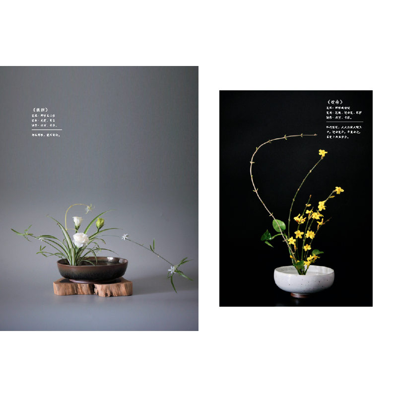 盛世華章：中國插花藝術展作品集+中國花室（全兩冊）