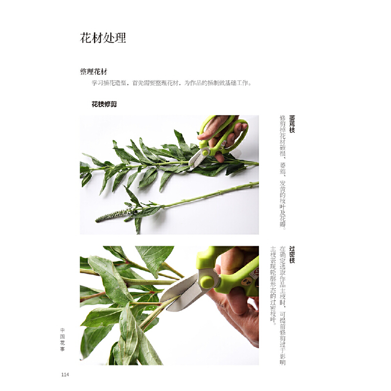 盛世華章：中國插花藝術展作品集+中國花室（全兩冊）