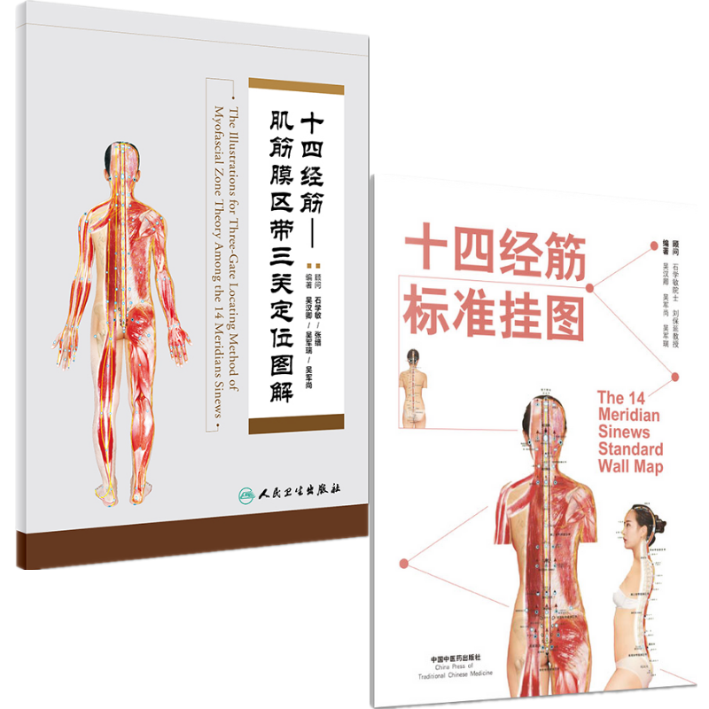 十四經筋：肌筋膜區帶三關定點陣圖解+十四經筋標準挂圖（挂圖6張）2冊