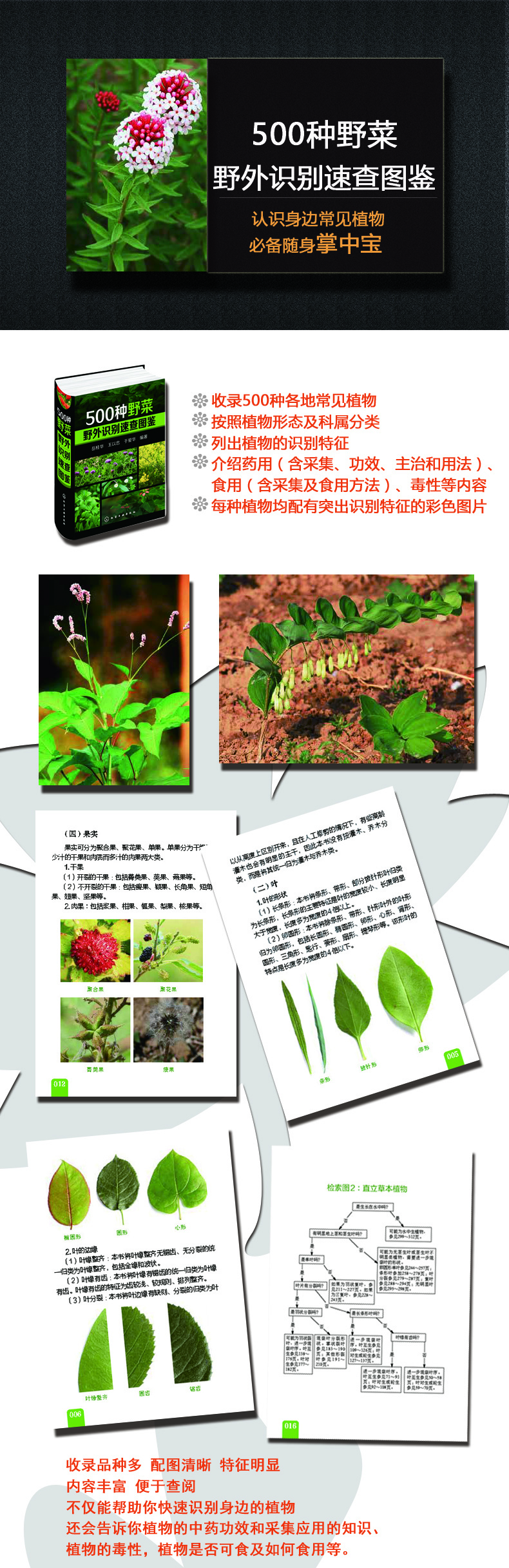 1654691760866230.jpg 详情2.jpg