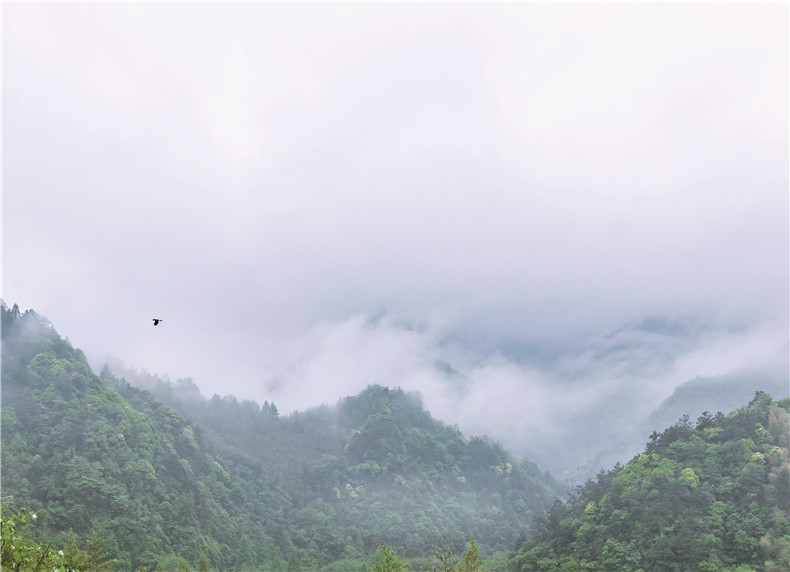 1654931978819273.jpg 书摘7.jpg