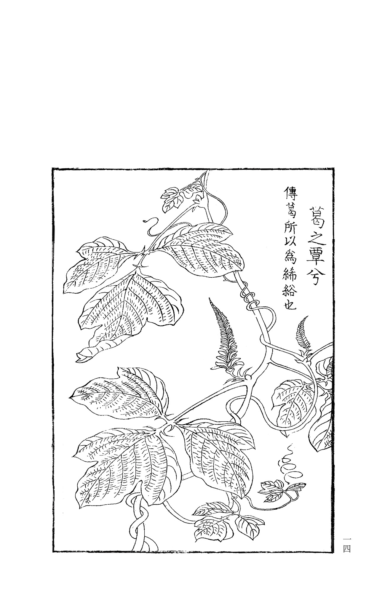 1655300654876654.jpg 详情-06.jpg