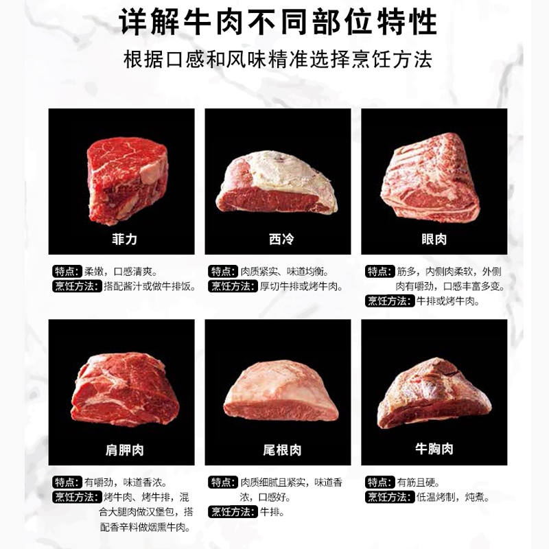 牛肉料理寶典+肉的火制料理技術(全兩冊) 牛肉料理寶典+肉的火制料理技術(全兩冊)