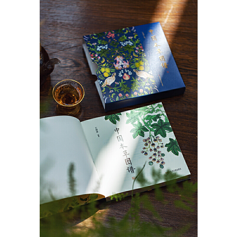 紫圖《中國本草圖譜》