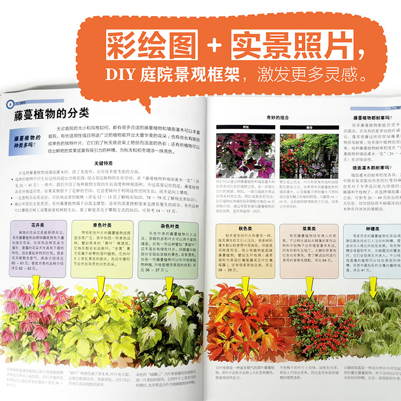 全球庭院：空間設計鑑賞+垂直花園：庭院藤蔓植物選擇與造景（全兩冊）