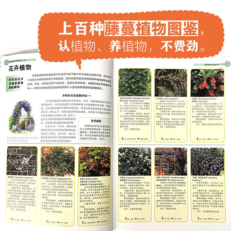 全球庭院：空間設計鑑賞+垂直花園：庭院藤蔓植物選擇與造景（全兩冊）