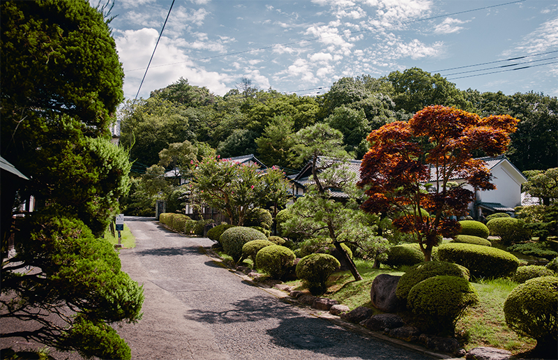 1660405214278024.jpg 详情-02.jpg