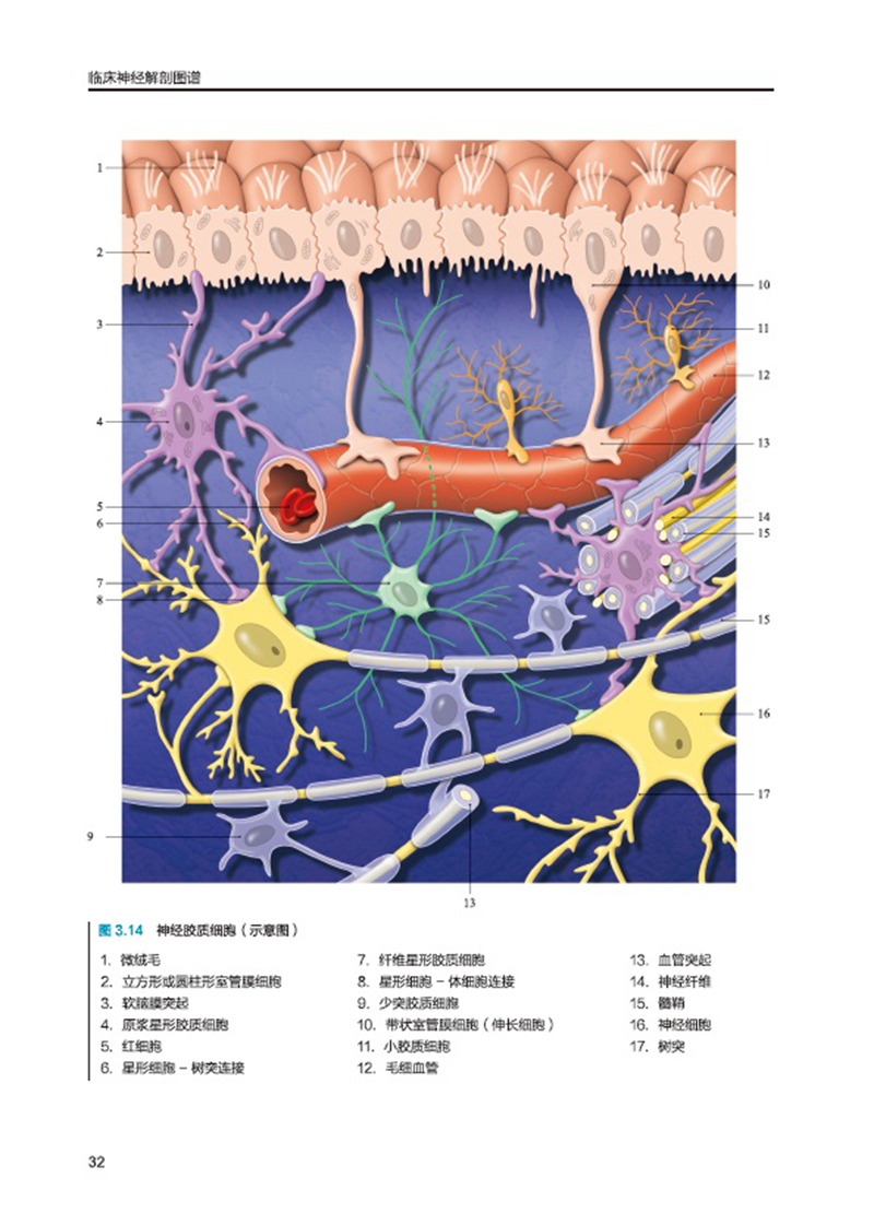 1661752625862243.jpg 主图-09.jpg