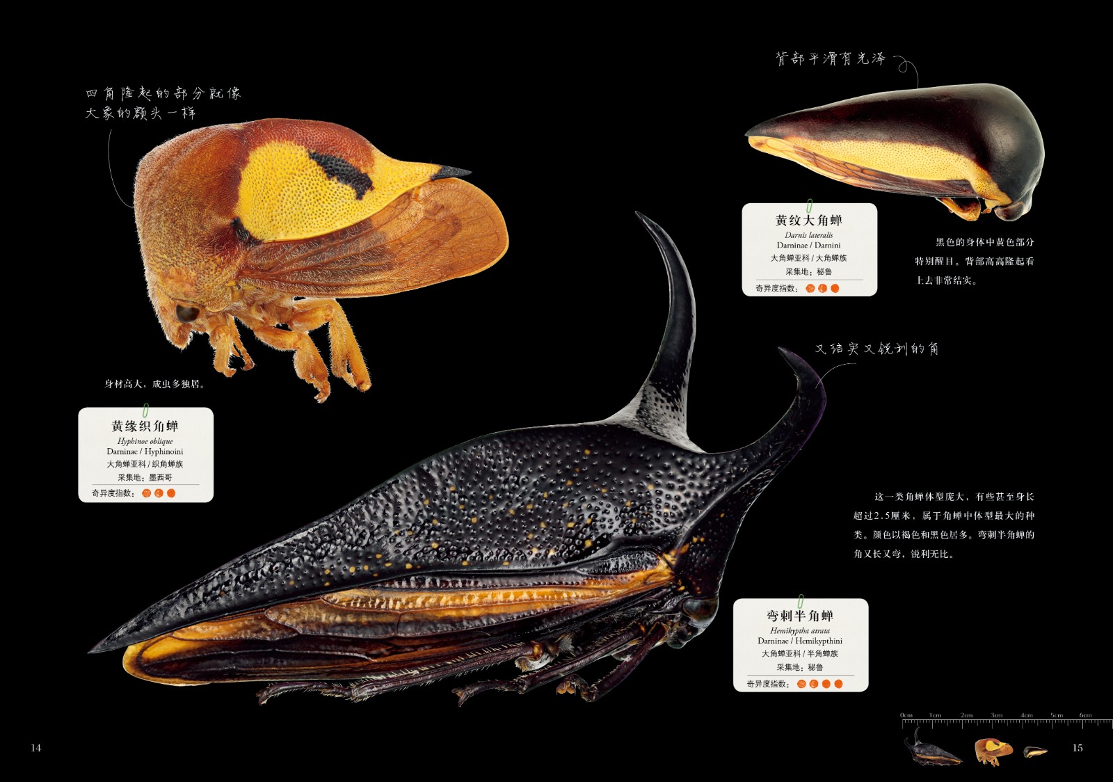 1664360368866590.jpg 1664360368866590.jpg