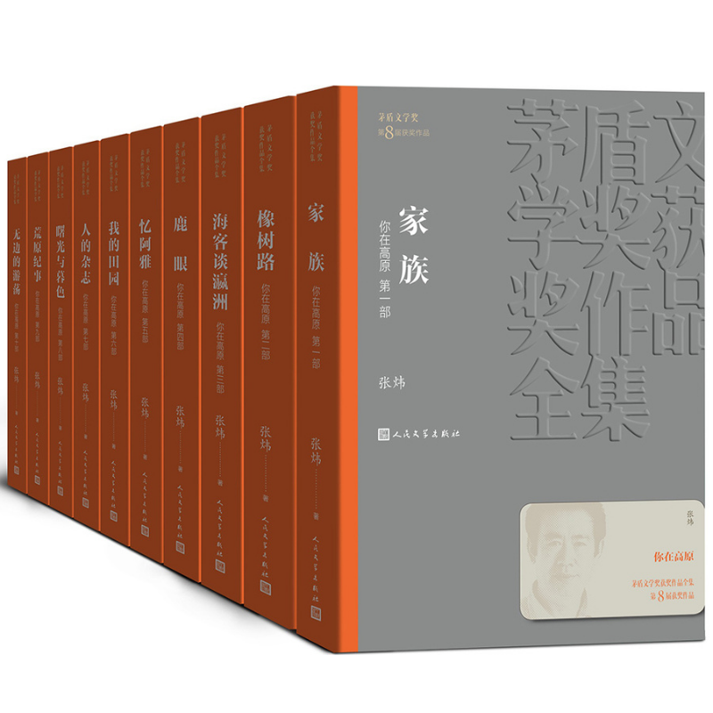 茅盾文學獎獲獎作品全集：你在高原（1-10）