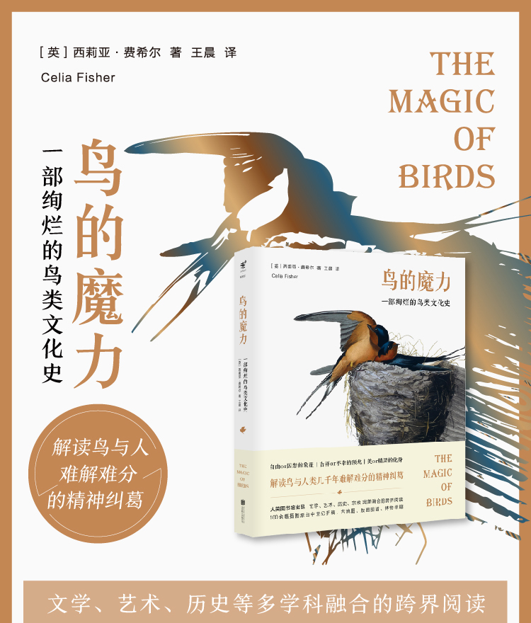 1665222448236048.jpg 详情-02.jpg