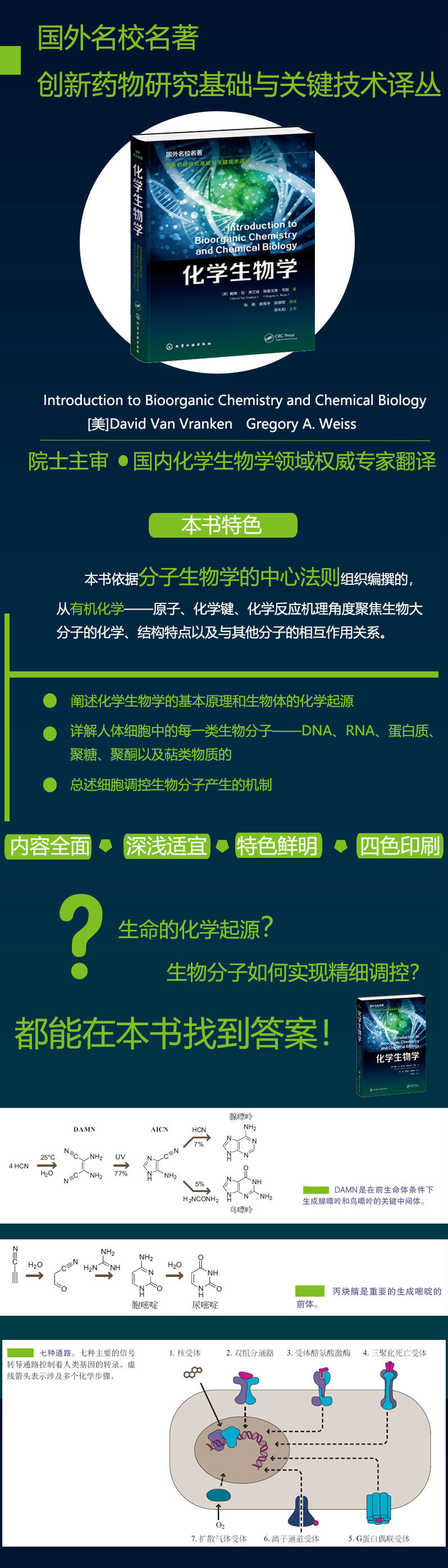 1665475317754232.jpg 详情-02.jpg