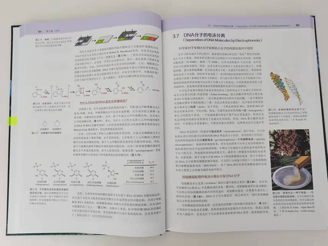 1665475447151406.jpg 1665475447151406.jpg