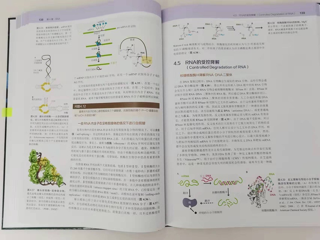 1665475447302386.jpg 1665475447302386.jpg