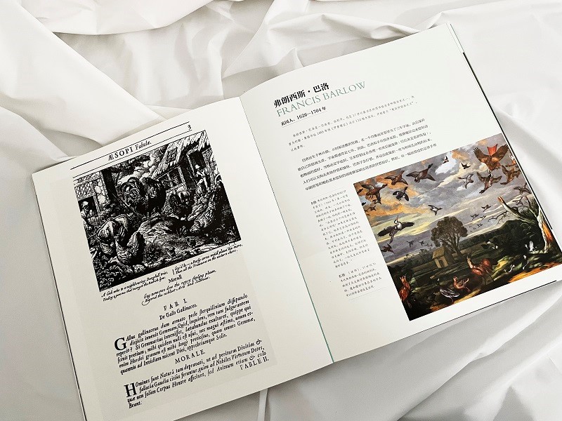 【鳥類博物志】(全彩塑封)