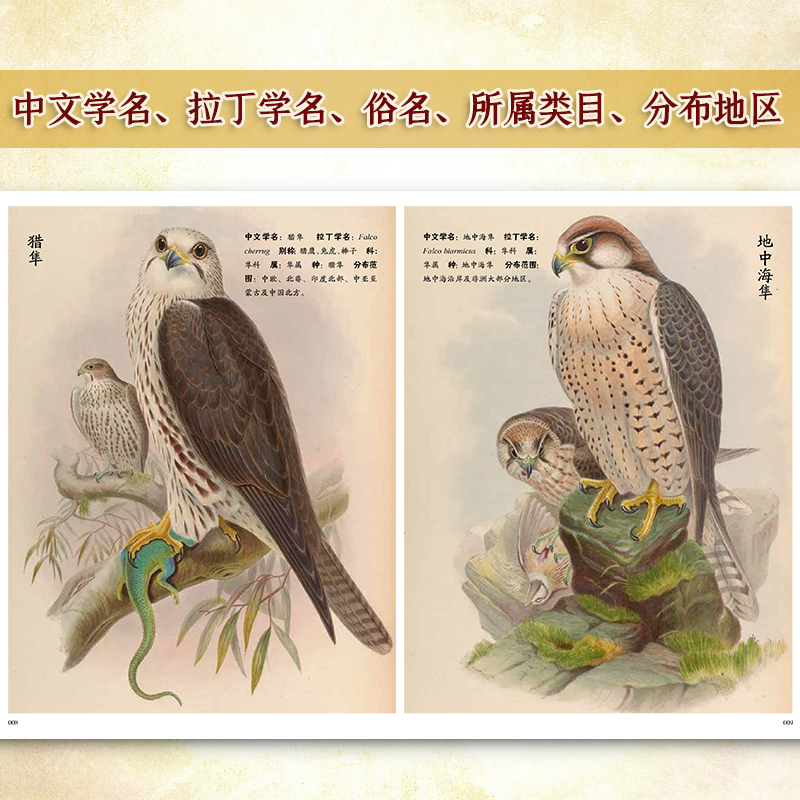 【亞洲鳥類圖鑒】(精裝版)