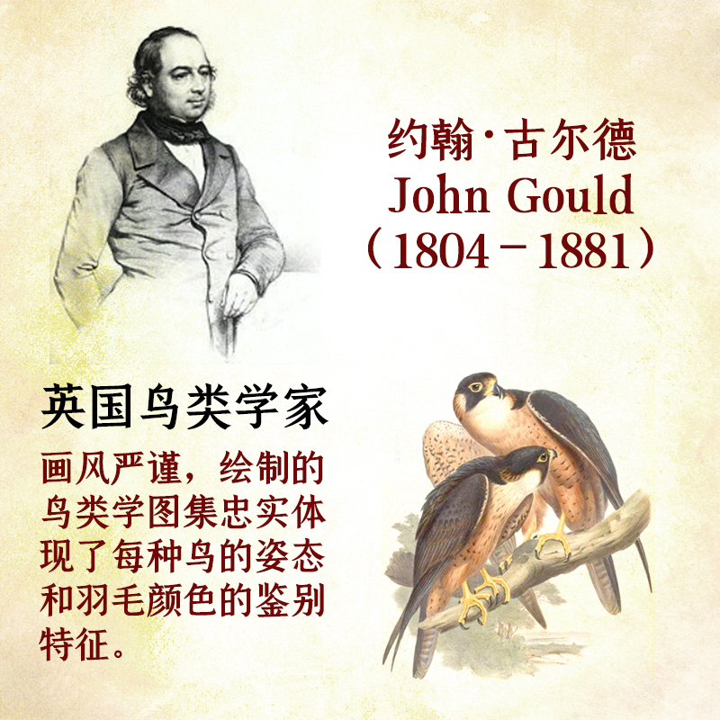 【亞洲鳥類圖鑒】(精裝版)