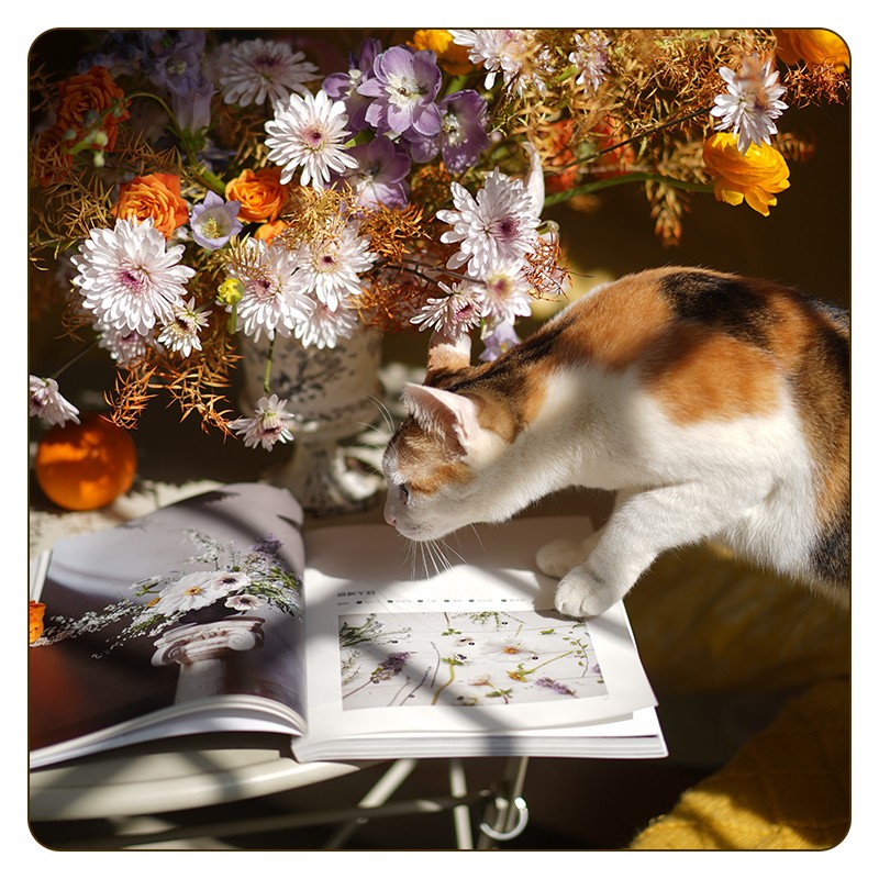 心境花藝：【有溫度的創意插花】+花間野趣：【自然風格花藝設計】（全新塑封兩冊）