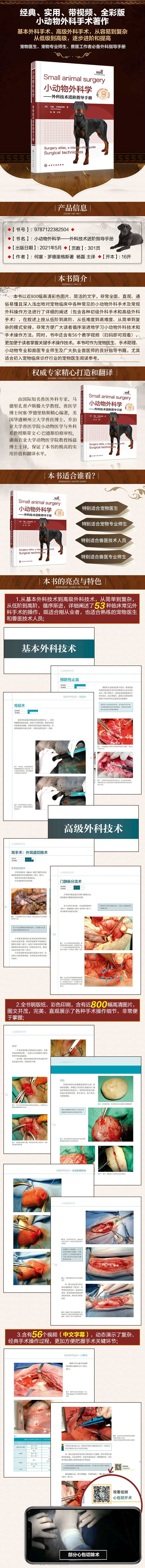 1667649475445538.jpg 详情-01.jpg