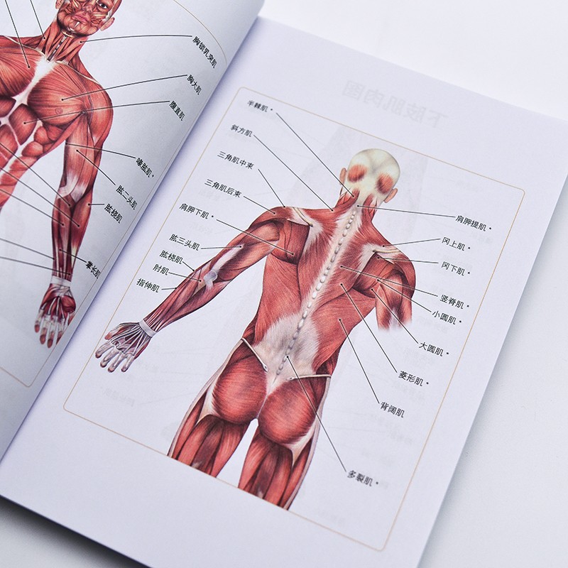 1667826480791272.jpg 详情2.jpg