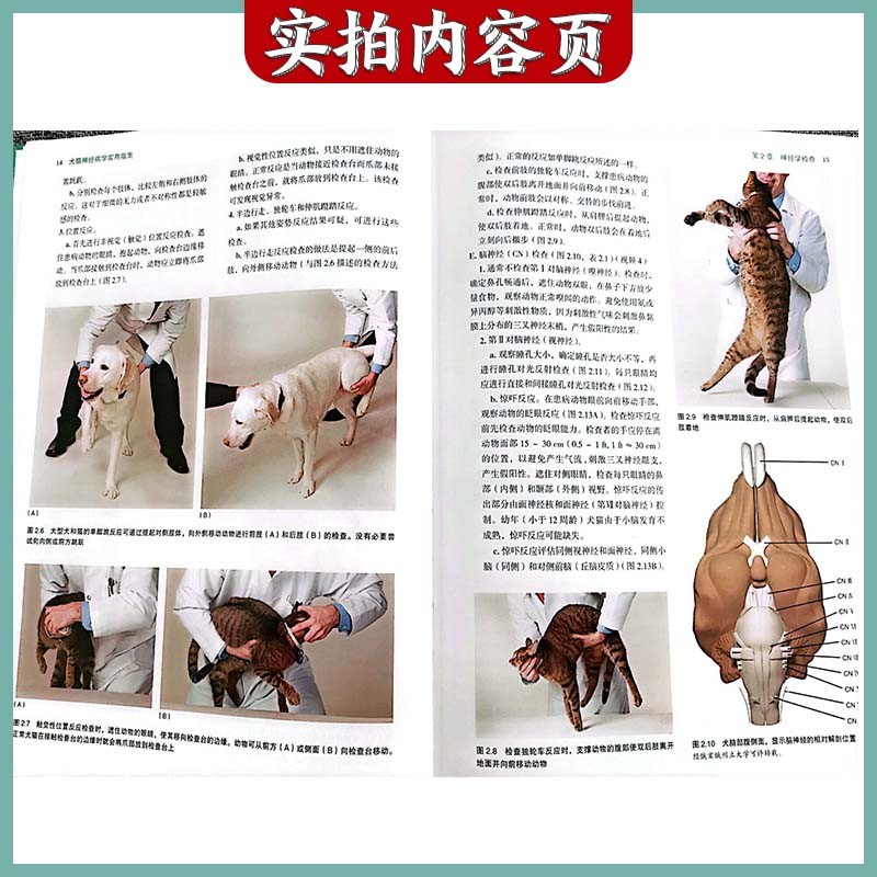【犬猫神經病學實用指南】(第3版)