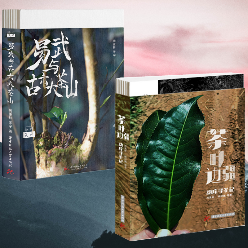 茶葉邊疆 : 【勐庫尋茶記】+茶葉復興：【易武與古六大茶山】