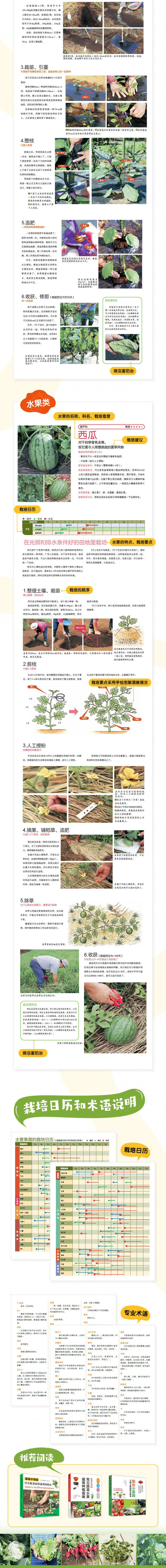 1675165910582397.jpg 详情-02.jpg