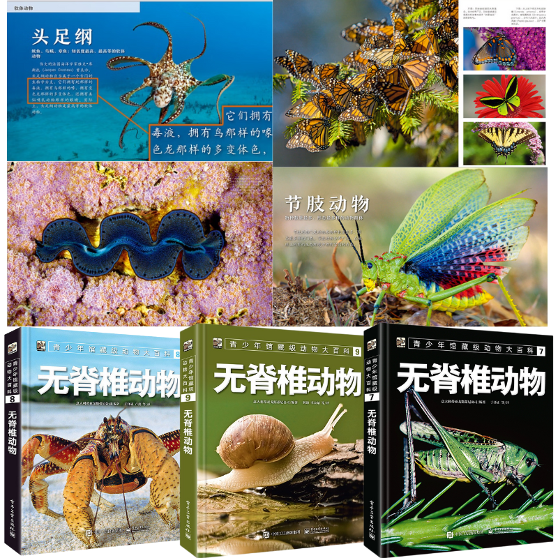 館藏級：【無脊椎動物】