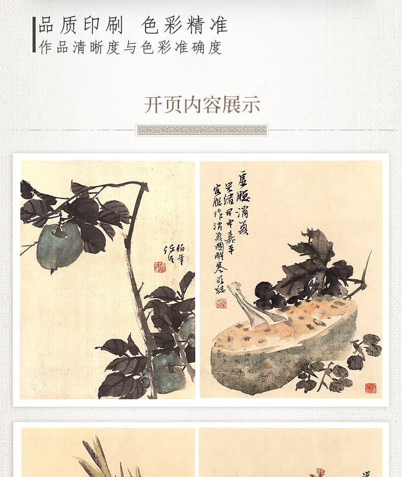 1688562704919422.jpg 详情9.jpg