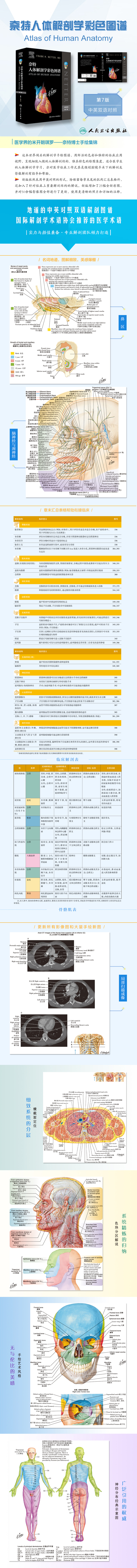 1689674571691769.jpg 详情1.jpg