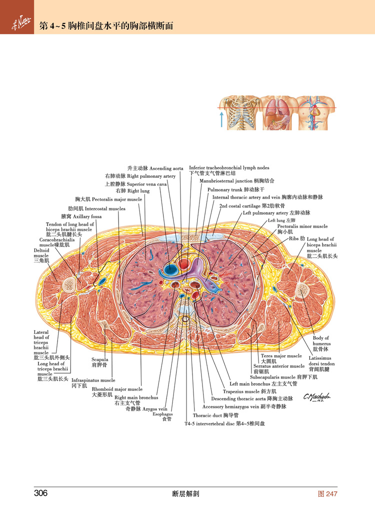 1689675014356969.jpg 书摘7.jpg