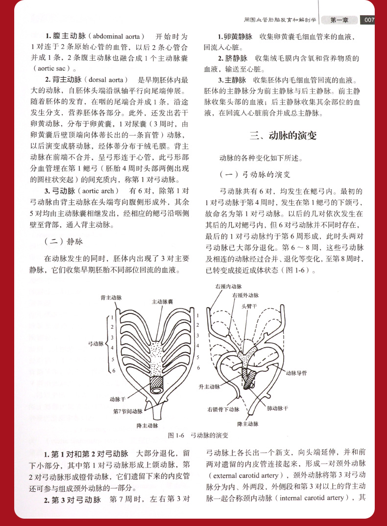 1689925426468040.jpg 详情-12.jpg