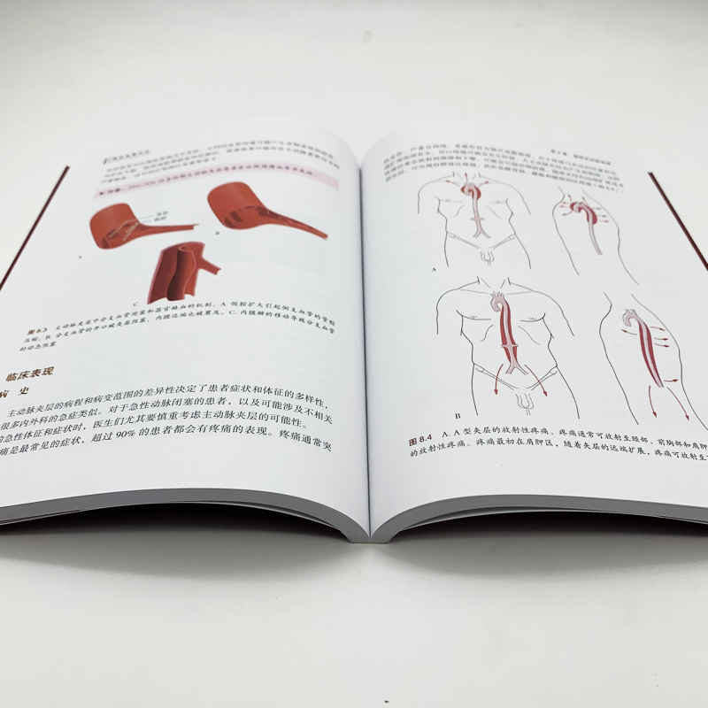 1689925734461112.jpg 详情6.jpg