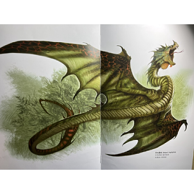 地球龍族圖鑑+如何捕獲一條龍:獵龍人秘密手冊(全兩冊) 地球龍族圖鑑+如何捕獲一條龍:獵龍人秘密手冊(全兩冊)