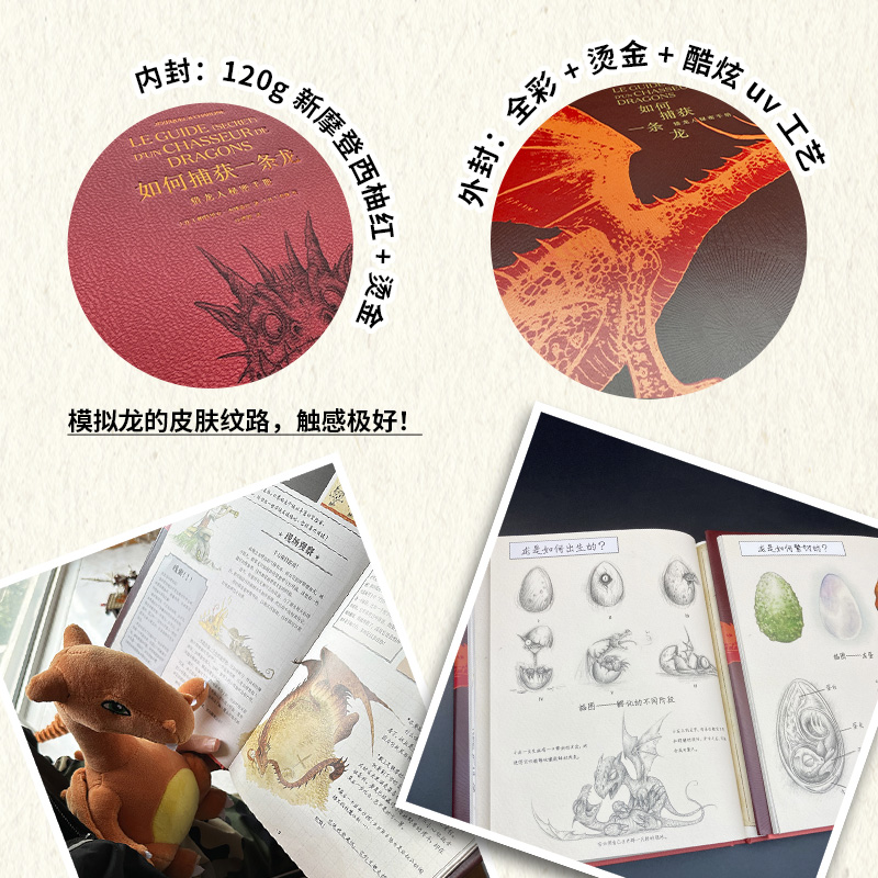 地球龍族圖鑑+如何捕獲一條龍:獵龍人秘密手冊(全兩冊) 地球龍族圖鑑+如何捕獲一條龍:獵龍人秘密手冊(全兩冊)