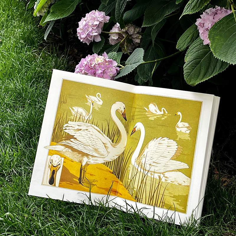 復古藝術館【自然而美：新藝術裝飾設計圖錄+萬物有文：新藝術植物裝飾】全兩冊