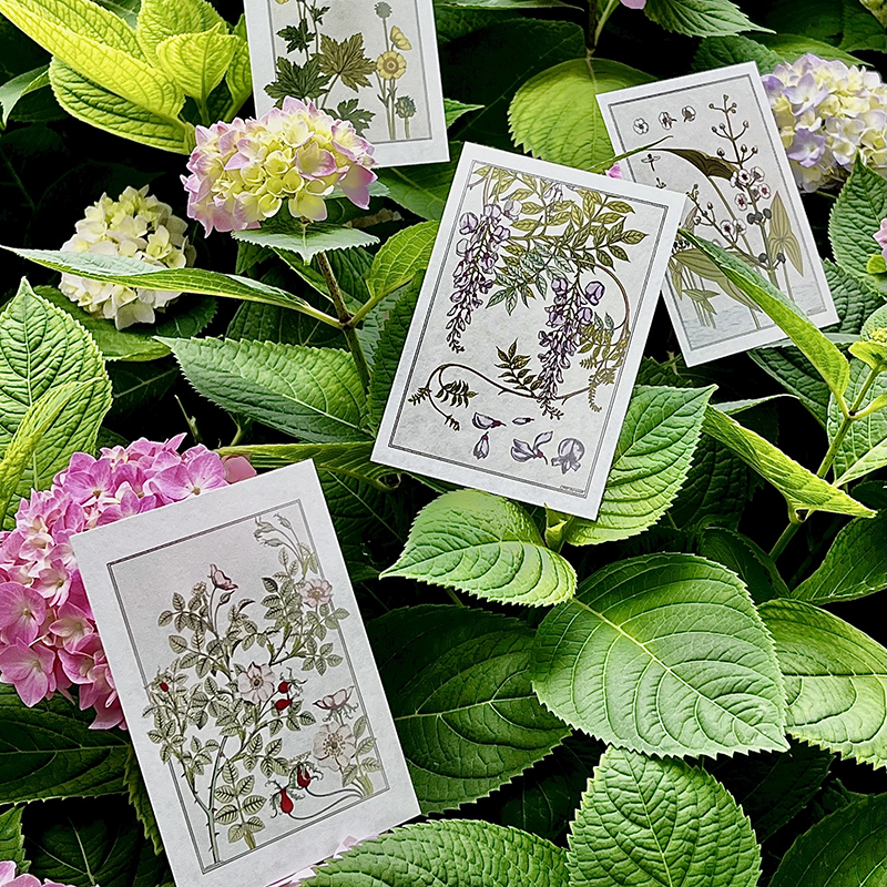 復古藝術館【自然而美：新藝術裝飾設計圖錄+萬物有文：新藝術植物裝飾】全兩冊