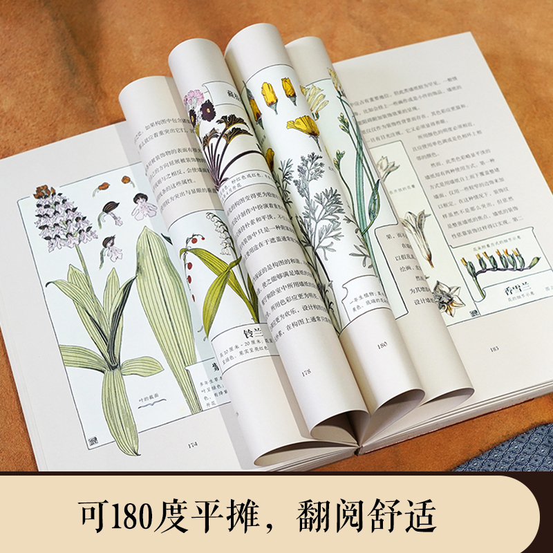 復古藝術館【自然而美：新藝術裝飾設計圖錄+萬物有文：新藝術植物裝飾】全兩冊