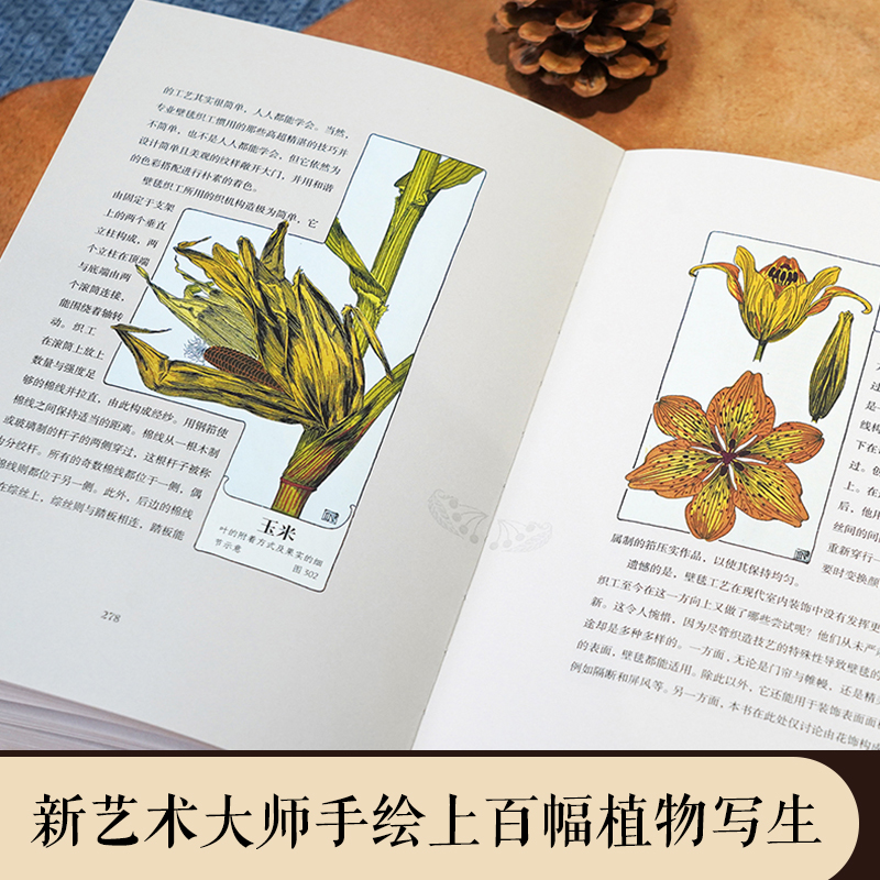 復古藝術館【自然而美：新藝術裝飾設計圖錄+萬物有文：新藝術植物裝飾】全兩冊