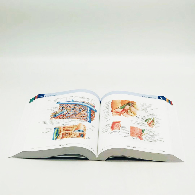 【正版】奈特人體解剖學彩色圖譜(第7版) 【正版】奈特人體解剖學彩色圖譜(第7版)