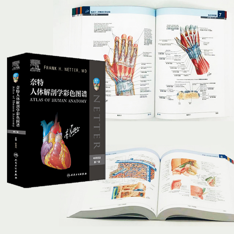【正版】奈特人體解剖學彩色圖譜(第7版)