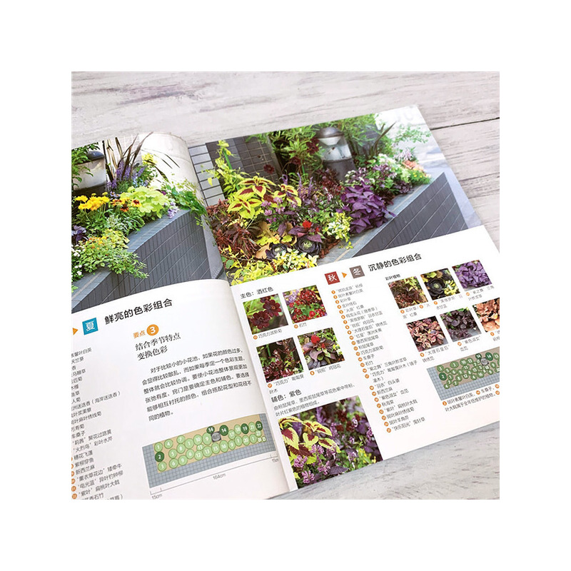 造一座小花園+陽台花園+小空間花園+我的迷你花園(全四冊) 造一座小花園+陽台花園+小空間花園+我的迷你花園(全四冊)