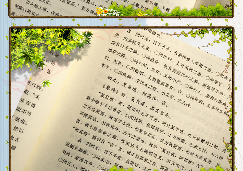 1691326438103235.jpg 详情6.jpg