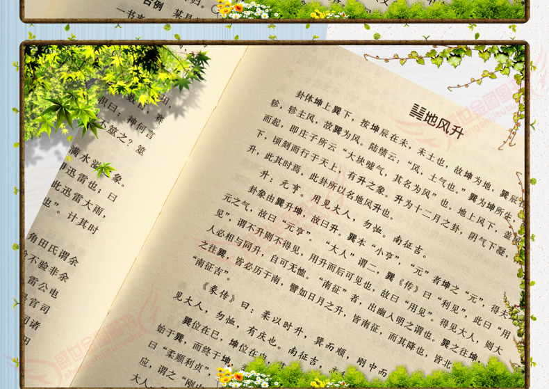 1691326441439922.jpg 详情7.jpg