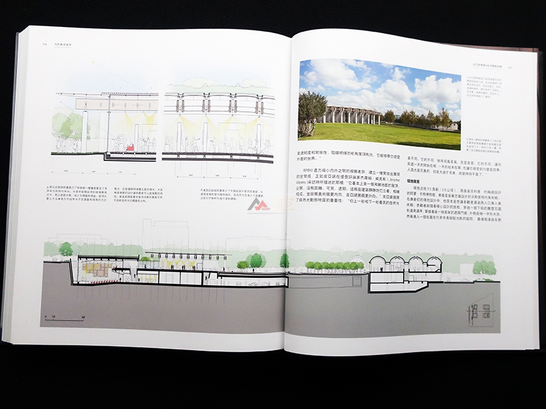 1691564974966355.jpg 详情45.jpg