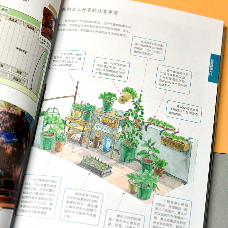 圖解陽台種菜一學就會+全新垂釣知識圖鑑(全兩冊) 圖解陽台種菜一學就會+全新垂釣知識圖鑑(全兩冊)