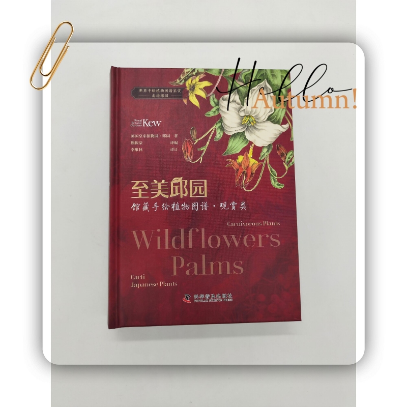 1697712517945106.jpg 实拍2.jpg