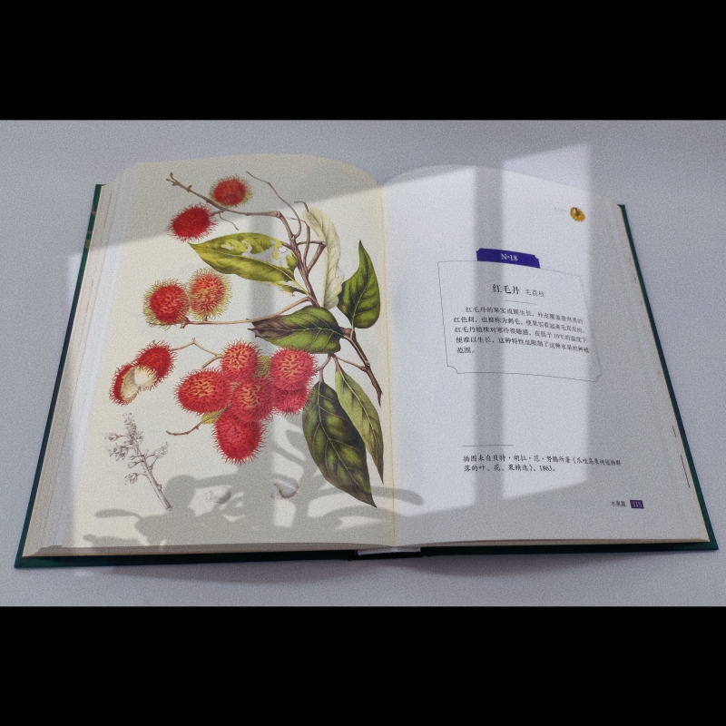 1697712526375855.jpg 实拍5.jpg