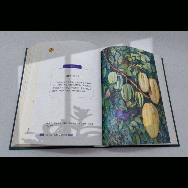 1697712536544262.jpg 实拍7.jpg