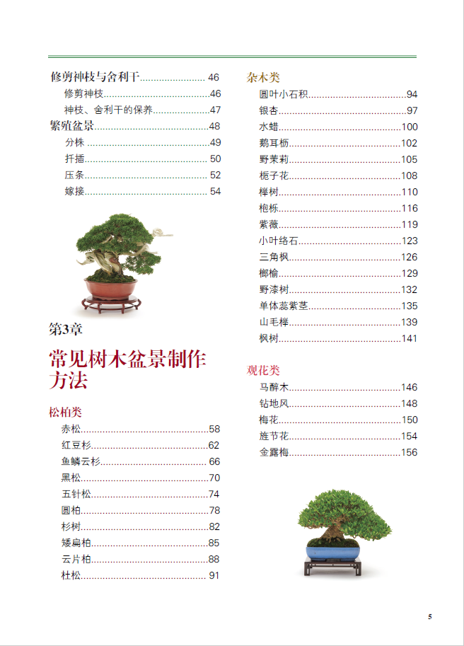 1698231182582568.jpg 树木目录2.jpg